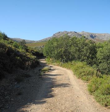 Castilla_2015.jpg