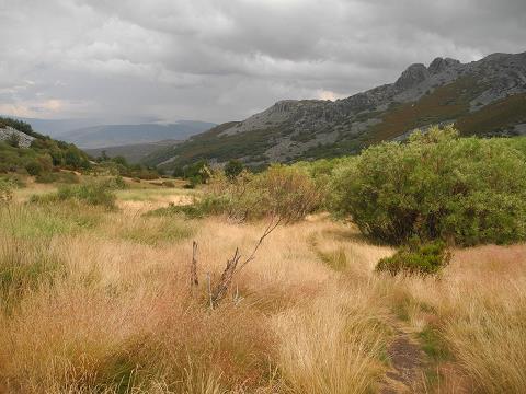 Castilla_2015.jpg