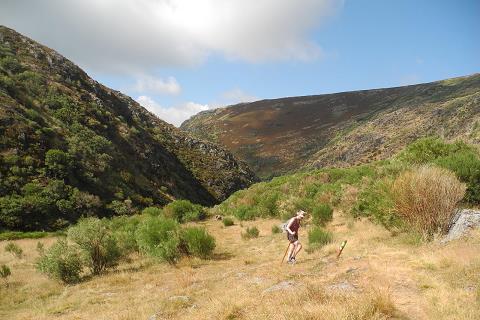 Castilla_2015.jpg