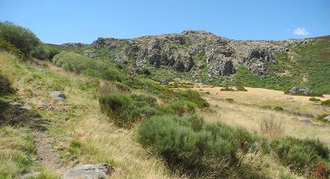 Castilla_2015.jpg