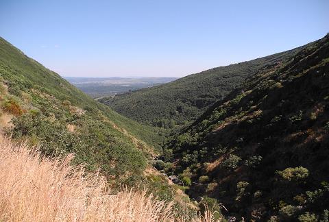 Castilla_2015.jpg