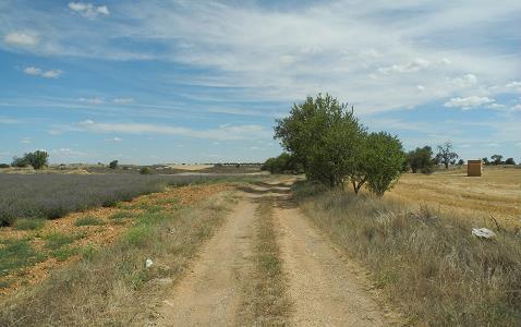 Castilla_2015.jpg