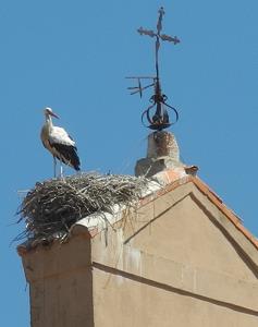 Castilla_2015.jpg