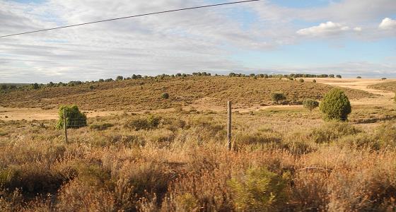 Castilla_2015.jpg