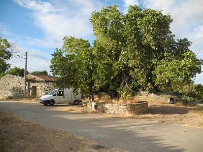 Castilla_2015.jpg