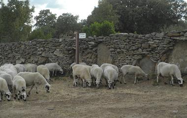 Castilla_2015.jpg