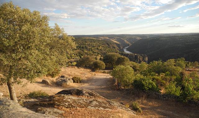 Castilla_2015.jpg