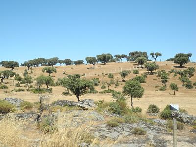 Castilla_2015.jpg