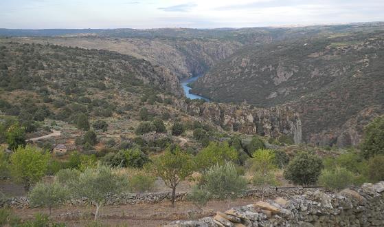 Castilla_2015.jpg