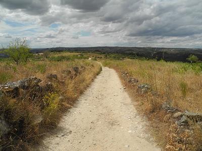 Castilla_2015.jpg