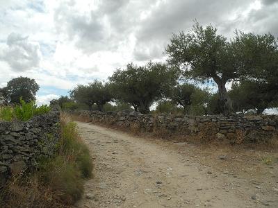Castilla_2015.jpg