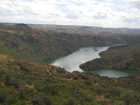 Castilla_2015.jpg