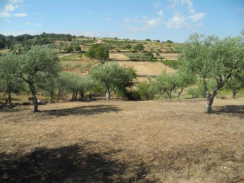 Castilla_2015.jpg