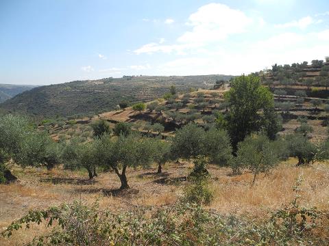 Castilla_2015.jpg