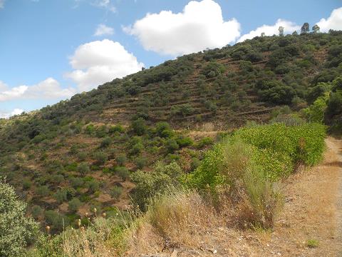 Castilla_2015.jpg