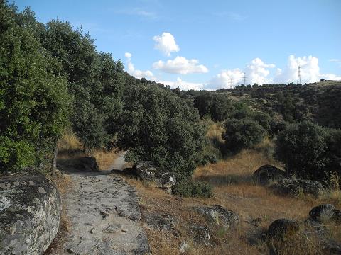 Castilla_2015.jpg
