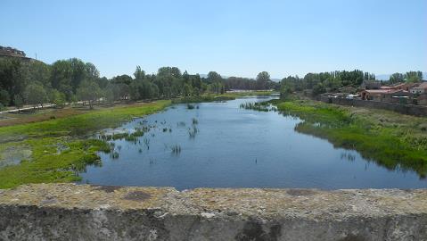 Castilla_2015.jpg