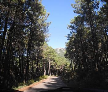 Castilla_2015.jpg