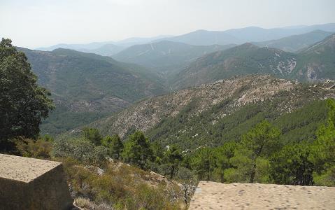 Castilla_2015.jpg