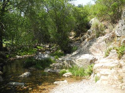 Castilla_2015.jpg
