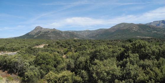 Castilla_2015.jpg