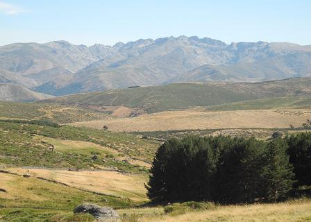 Castilla_2015.jpg